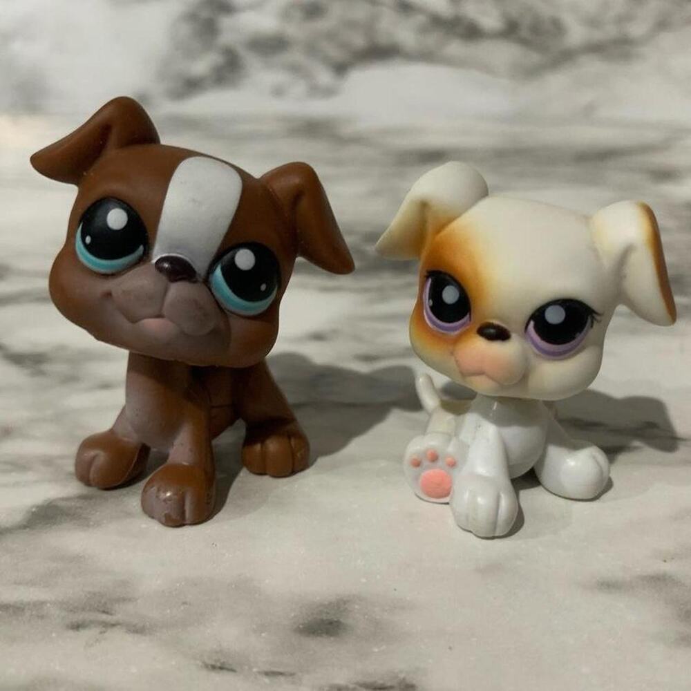 Littlest pet shop boxer
